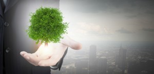 Fondo ambartec Consultoria ambiental-licencia ambiental Alicante